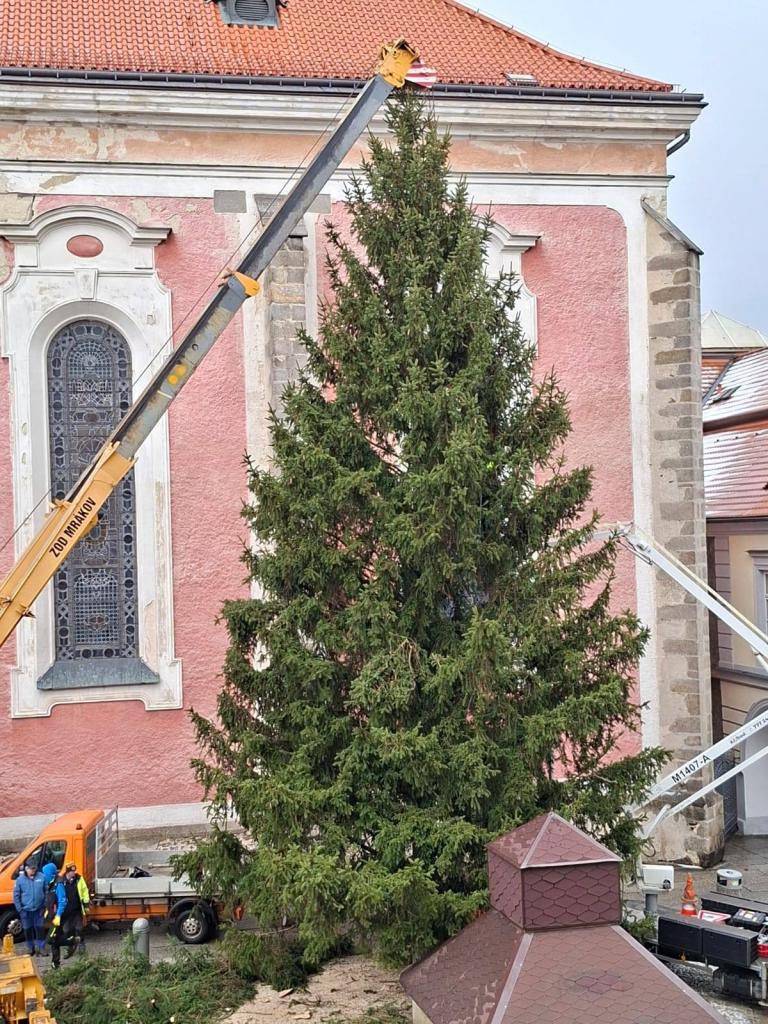 588302126 1247413224100012 2651381657260846024 n