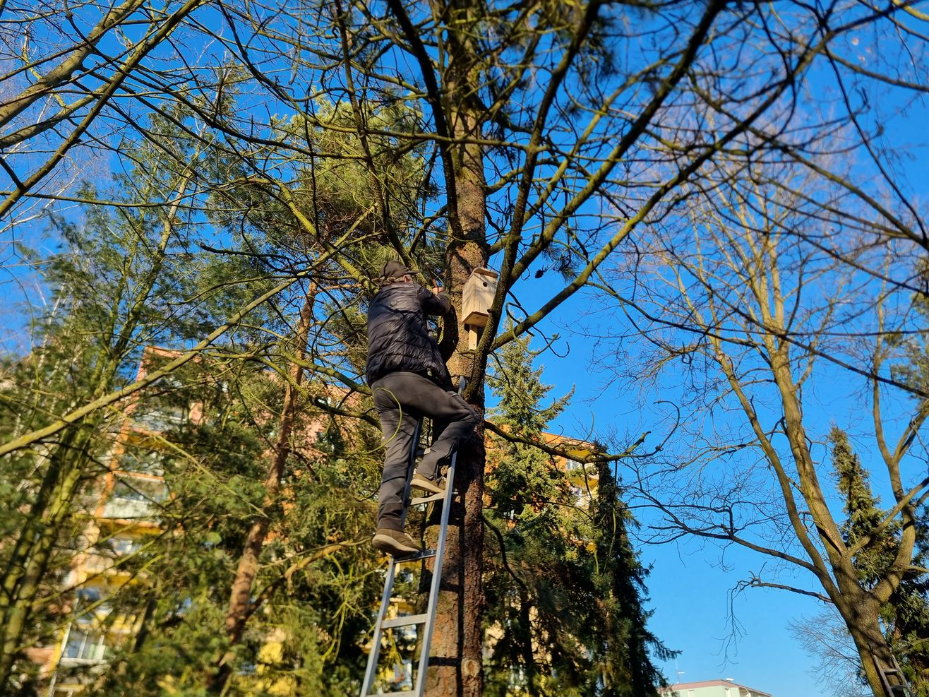 budky hnizdeni ptactva komenskeho 2