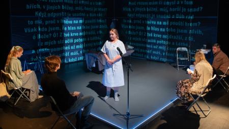 Divadlo J. K. Tyla uvede českou premiéru americké hry Vtip