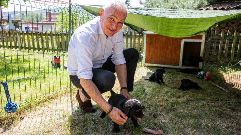 Kraj pokračuje ve spolupráci s Pomocnými tlapkami. Asistenční psy budeme dál podporovat, potvrdil hejtman Kamal Farhan