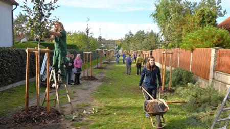 V letošních kolech grantu Stromy uspěly 4 projekty v Plzeňském a 2 v Karlovarském kraji