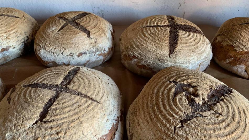 Město Touškov nabídlo tradiční Slavnosti chleba