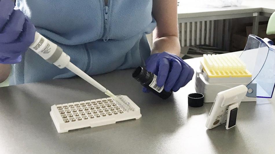 Plzeňský kraj se připravuje na sílu omikronu i větší poptávku po PCR testech