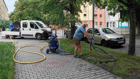 Půdní injektáž prodlouží lípám život, zabrat jim dala rekonstrukce tramvajové trati