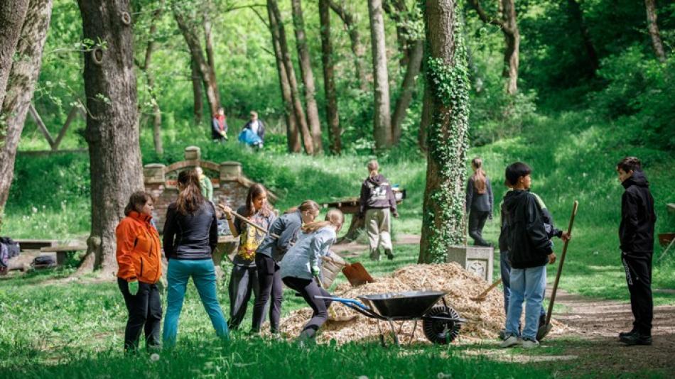 Deváťáci ze 17. ZŠ a MŠ Plzeň pečují o lokalitu Plzeňské prameny na Roudné