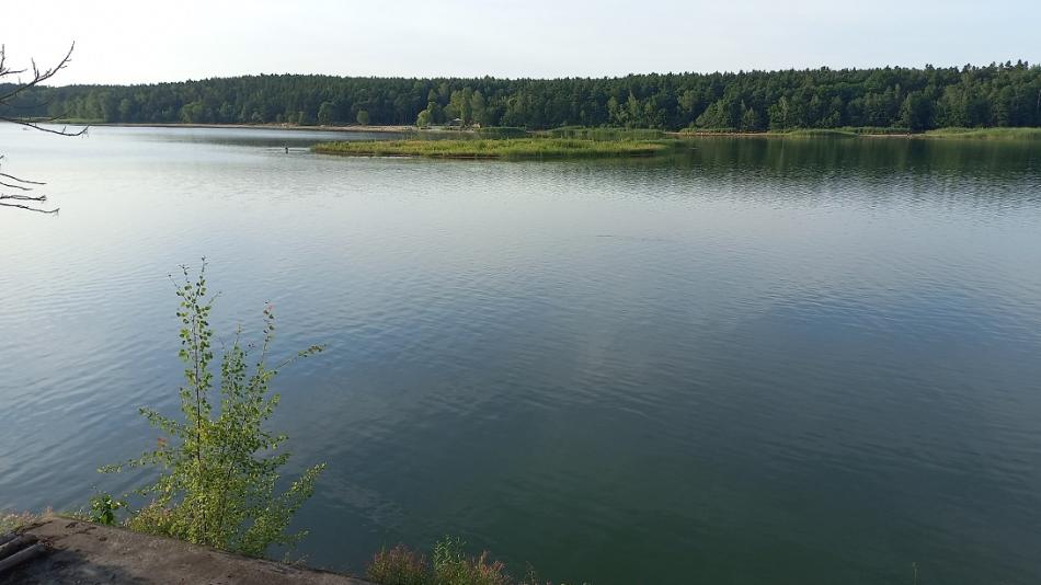 Kvalita vody v Boleváku se oproti předchozím letům zlepšila, stoupla i hladina