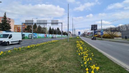 Plzeň rozzářily tisíce jarních květin