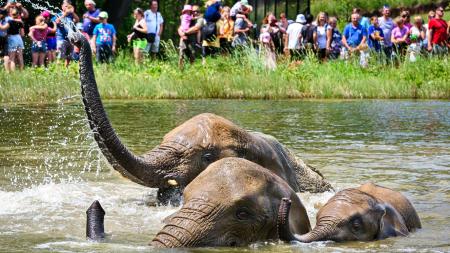 Zlínskou zoo od začátku roku navštívilo 700 000 lidí. Padne letos rekord?