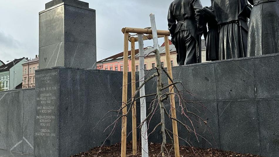 Aktualizováno: Policisté už znají totožnost vandala, který poničil lípu. Přišel se sám udat!