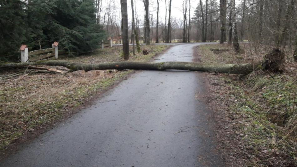 Hasiči v kraji na Štědrý den evidovali více než sto zásahů. Ani jeden nesouvisel s oslavou Vánoc!