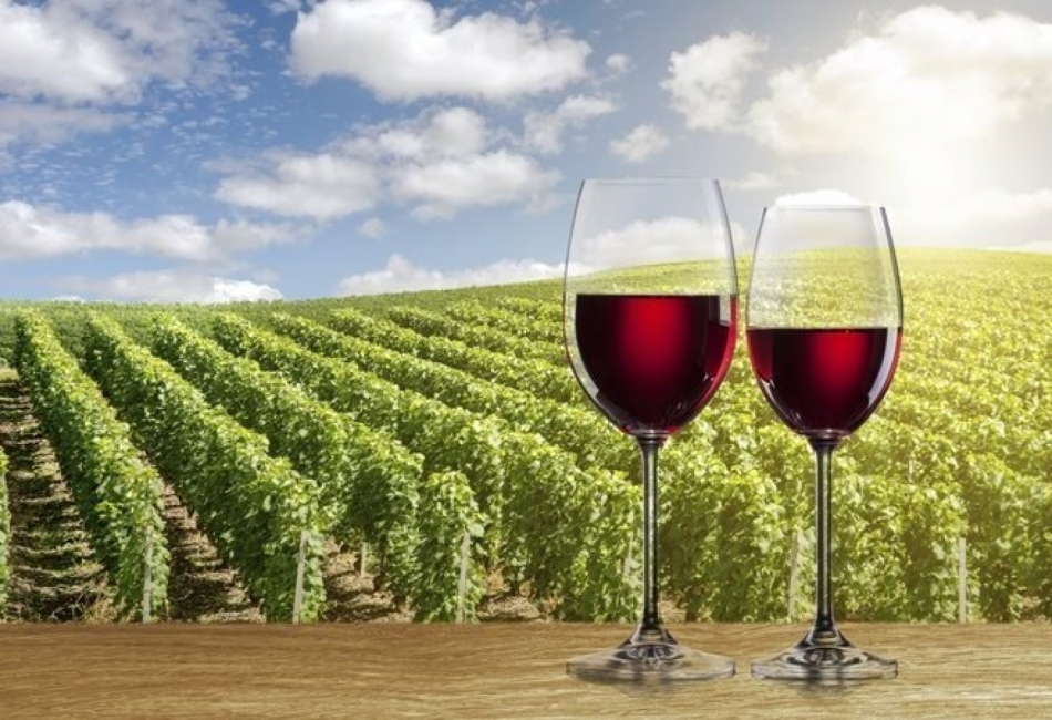 víno - sklenice vína