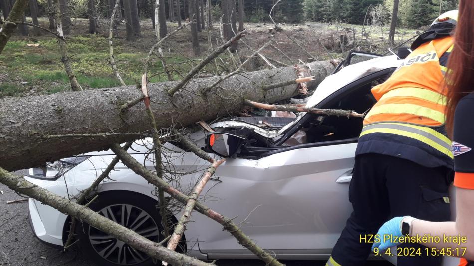 Na jedoucí auto spadl strom, řidička je těžce zraněná