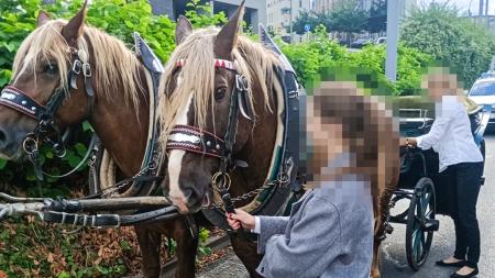 Kuriózní dopravní nehoda se stala v centru Plzně