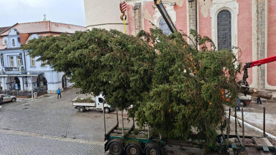 Na Domažlickém náměstí už stojí vánoční strom, rozsvítí se tuto sobotu