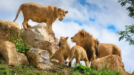 Zoo Zlín je podle hodnocení návštěvníků nejlepší zoo v ČR. Překonala i Prahu