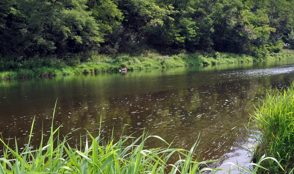 Stavy vody na řekách v Plzeňském kraji jsou velmi podprůměrné