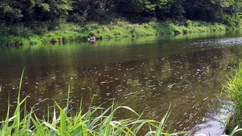 Silný déšť zvedl hladiny řek v Plzeňském kraji, meteorologové mírní výstrahu