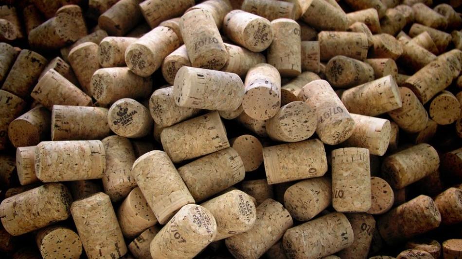 Světoznámá výroba šumivého vína ve Starém Plzenci slaví 80 let