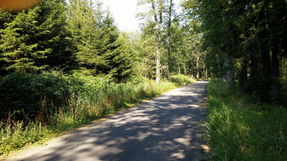 Brdy čekají letos nápor turistů, oblast je podle kraje bezpečná