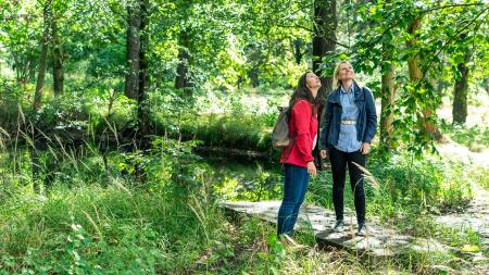 Jaká proměna čeká Papírenský park? Město představí studii