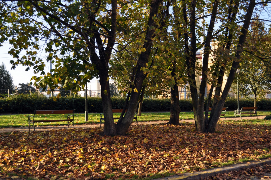 plzen_cz_podzim, listí, stromy, park, lavičky