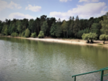 Foto Voda v Boleveckých rybnících_9 347