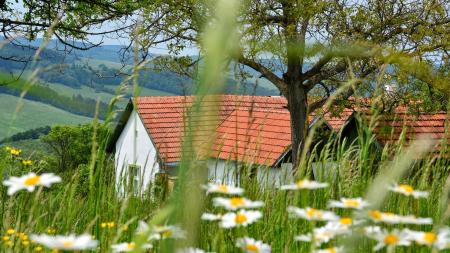 Po stopách Mornštajnové, Tučkové nebo Galušky. Literární místopis ČT zavede diváky i do našeho regionu