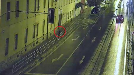 Svéhlavý turista se v pátek opět vydal do města, aneb Bobr versus strážníci díl třetí