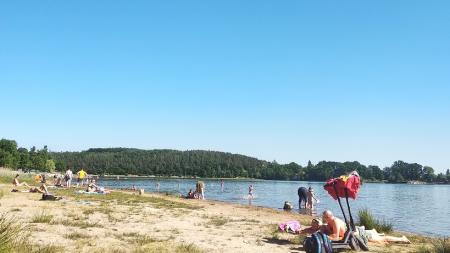 Plzeň odbahní Malý Bolevecký rybník, nebude nutné ho vypustit