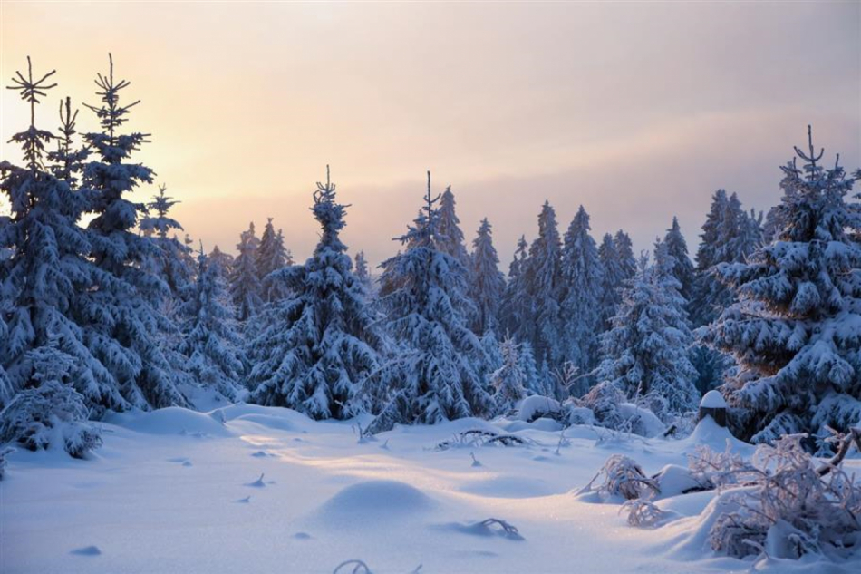 Na Šumavě silně mrzlo, ráno bylo minus 19,8 stupně