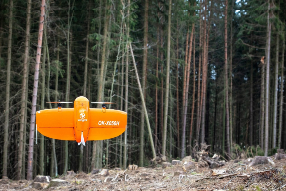 V boji s kůrovcem pomáhají Plzni v městských lesích drony