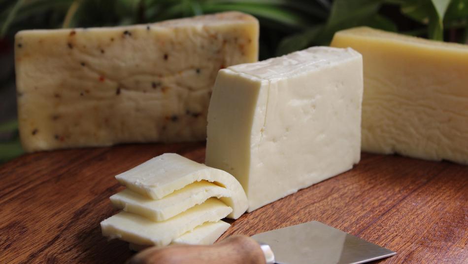 Karlovarské farmářské trhy poprvé nabídnou holandské sýry