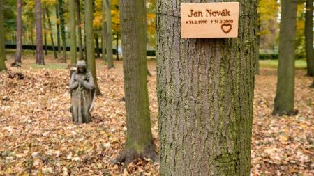 Plzeň nabízí nový způsob pohřbívání popele zesnulých ke kořenům stromů