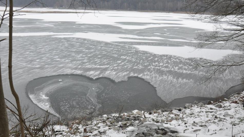 Správci městských rybníků varují před úskalím tenkého ledu
