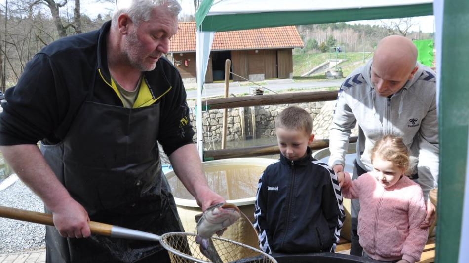 Plzeň chce obnovit starou tradici. Pro rybu na městské sádky se bude chodit i před Velikonoci