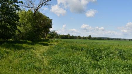 Dobrá zpráva pro cyklisty. Začíná stavba dalšího úseku greenway stezky Mže z Malesic