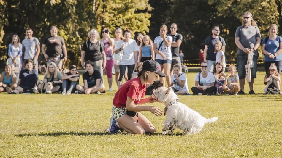 Pejsci všech plemen i velikostí zaplnili Borský park