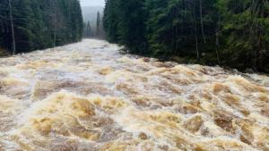 Meteorologové varují: Na Šumavě hrozí povodně!