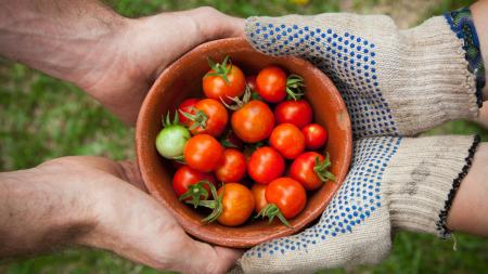 Karlovarský kraj se představí na prestižních veletrzích: Ukáže to nejlepší z regionální produkce