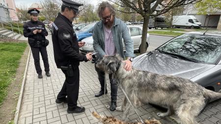 Strážníci kontrolovali majitele psů
