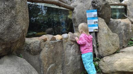 Plzeňská zoo postaví nový skleník s tropickým pralesem a africkými motýly