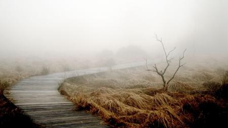 Meteorologové zveřejnili předpověď na další dny. Jaký čekají víkend?