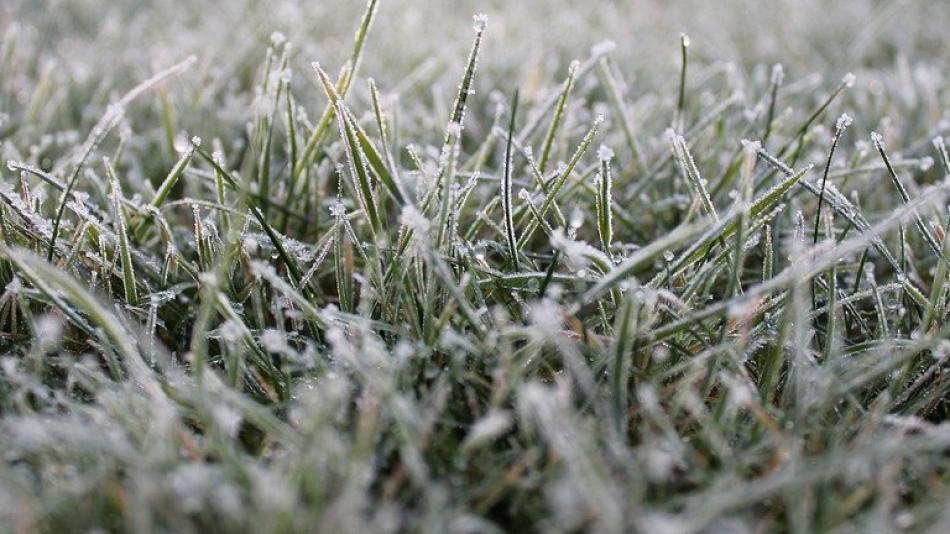 Tuhé mrazy? Zatím spíš ne, tvrdí meteorologové