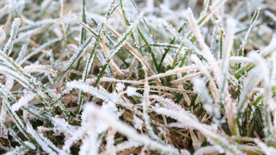 Chladno, ale bez přeháněk. Meteorologové odhalili předpověď na další týdny