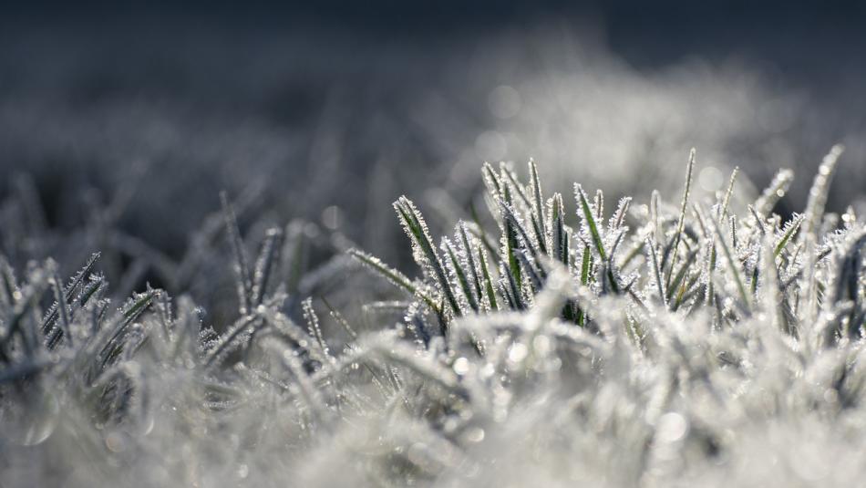 Meteorologové varují: Silné mrazy zasáhnou celou republiku