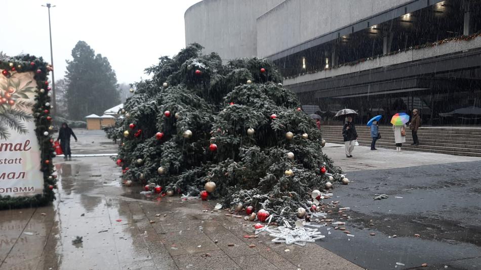 Náraz větru strhl vánoční strom v Karlových Varech