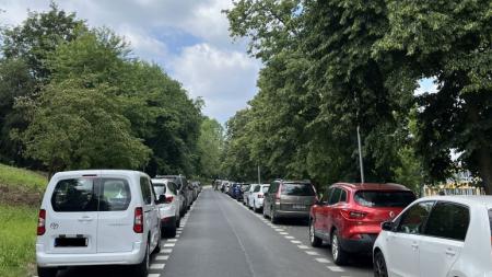 Kvůli prořezávce zeleně se na několik dní uzavře Kollárova ulice v Karlových Varech