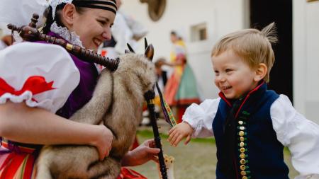 Kulturní nabídka dobrá, Plzeňané ale touží po koncertním sálu, ukázal průzkum