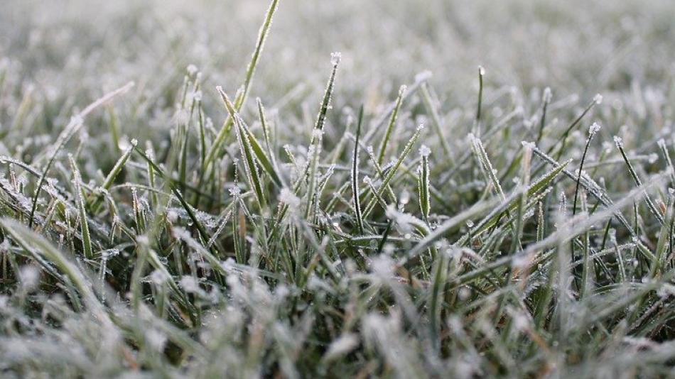 Teplé počasí dlouho nevydrží. Jaký nás čeká leden?