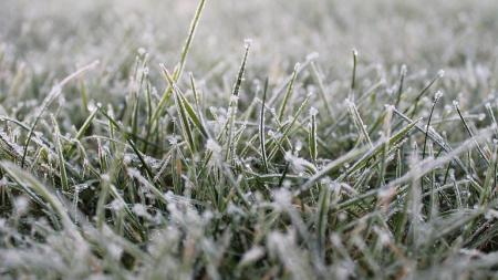 V Česku se extrémně ochladí, tvrdí meteorologové